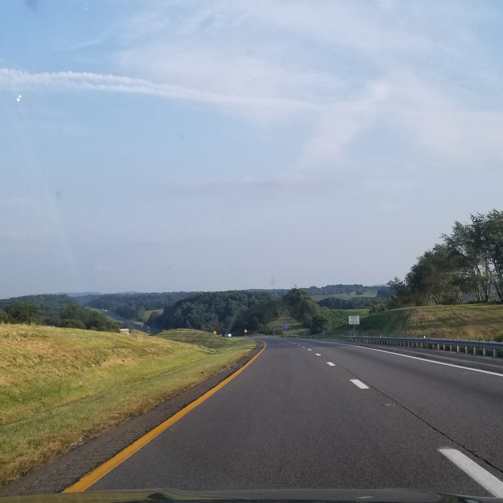 Meet your Posher, Rhiannon